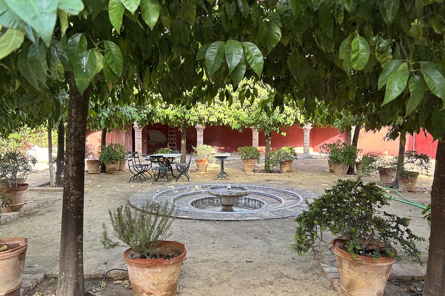 Orange-tree courtyard