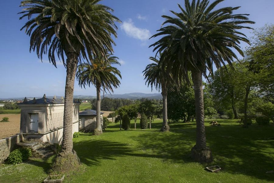Palm trees in a northern garden